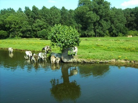 De Vlaamse Waterweg foto De Willemsroute